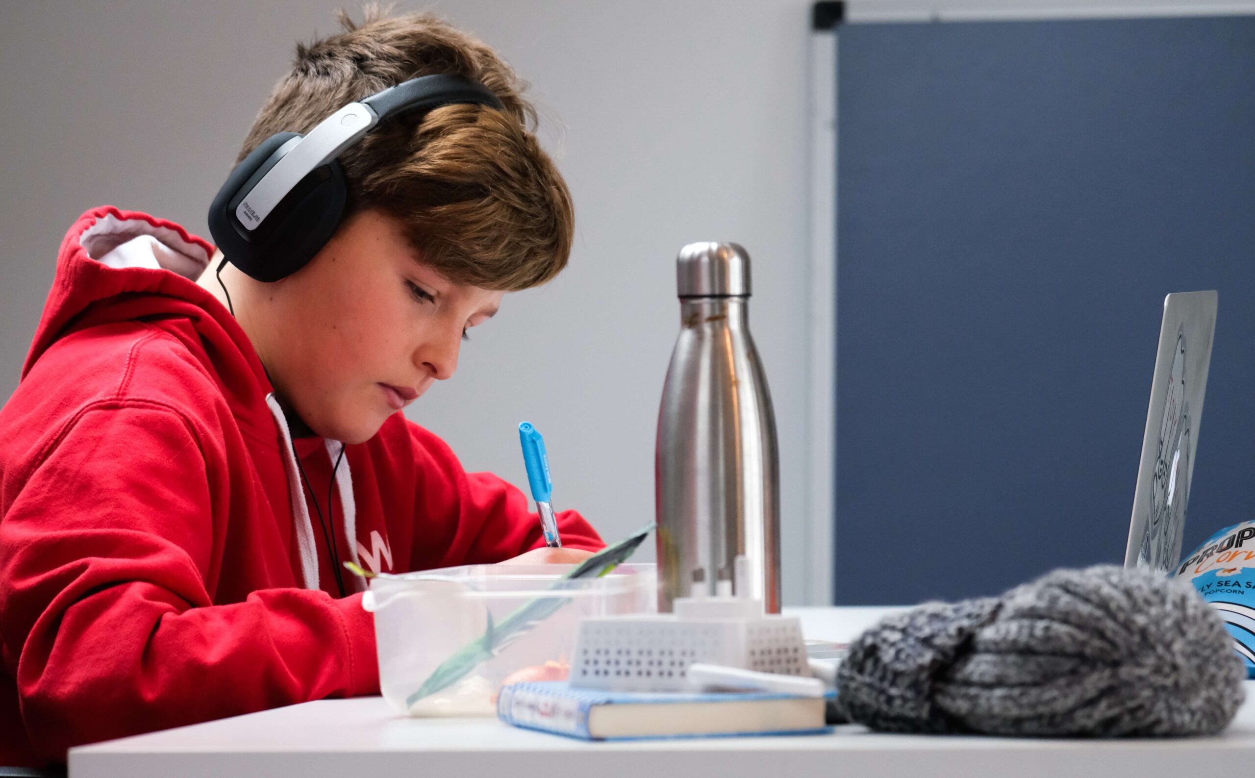 Image of a boy learning online