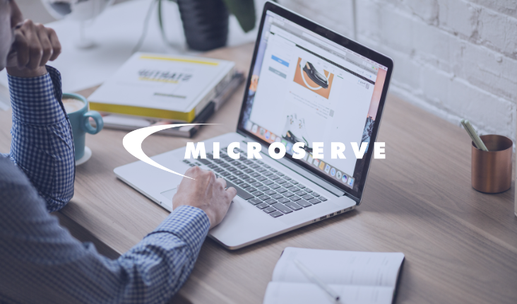 person using a laptop. A Microserve logo overlays the image