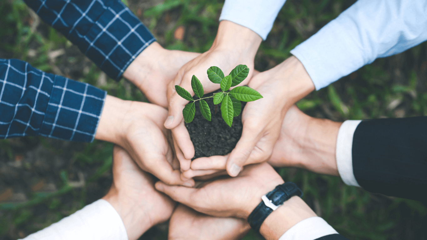 multiple hands holding a plant